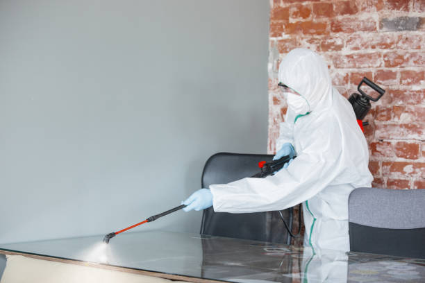 Best Crawl Space Mold Remediation  in USA